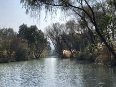 -西溪国家湿地公园