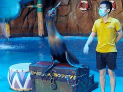 -烟台海昌鲸鲨海洋公园