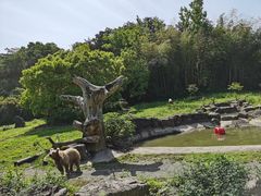 -宁波野生动物园