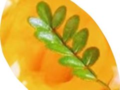 -宜昌富力皇冠假日酒店·咖啡1号西餐厅