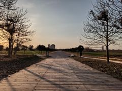 -汉长安城未央宫国家考古遗址公园