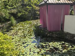 -观唐（国际）度假村温泉