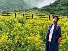 -石棉县孟获城