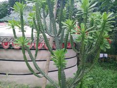 -草根堂农场