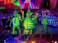 -三亚海昌梦幻海洋不夜城