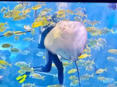 -重庆欢乐海底世界