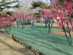 -莲花池公园