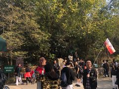 -紫金山天文台