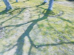 -白塘生态植物园