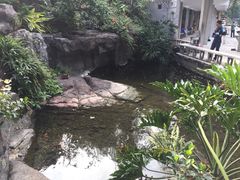 -晓港公园