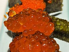 -酒井酱子·深夜食堂(东城汇店)