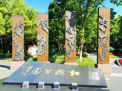 -红梅公园