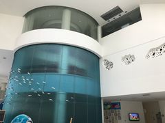 -深圳东部华侨城瀑布酒店