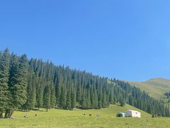 -新疆那拉提国家旅游度假区