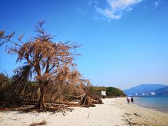 -东平洲海岸公园