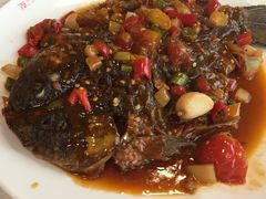 -金龙寨(解西店)