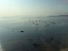 -渔公码头·九龙湾国际饭店