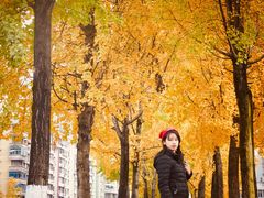 -高庙村(地铁站)