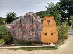 -龙坞茶村