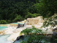 -黄龙山原始森林景区