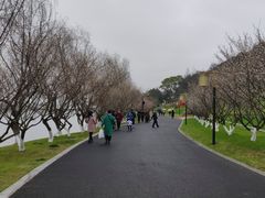 -东钱湖小普陀景区