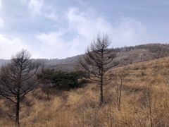 -妙峰山风景名胜区