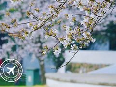 -苏州上方山国家森林公园