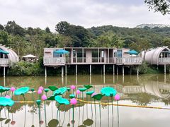 -林丰温泉度假山庄
