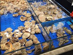 水产区-船歌·鱼水饺青岛菜(闽江二路店)