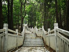 -南国桃园旅游度假区