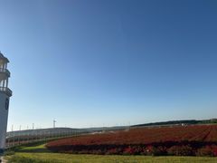 -南京枫彩漫城