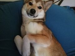 -天伦松鹤大饭店·欣妮咖啡