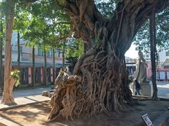 -闽粤南澳总镇府