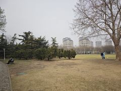 -泰丰公园