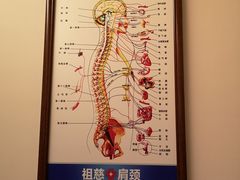 -肩颈管家·肩颈调理·经络养生(华景新城店)