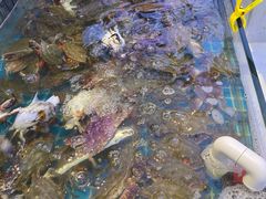 -集品鲜湾·蒸汽海鲜自助料理(青岛银座和谐广场店)