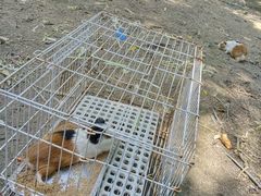 -广东花都香草世界旅游度假区