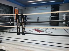 -臻元搏击格斗泰拳拳馆(港隆店)