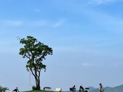 -东钱湖旅游度假区