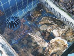 -阿军排档·烧烤