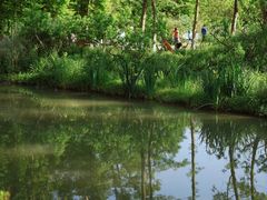 -桤木河湿地公园