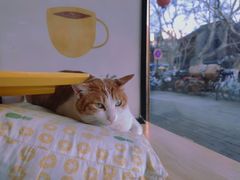 -W Coffee(船板巷店)
