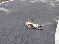 -广州雕塑公园