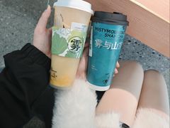 -雾与山茶(大禹城店)