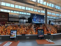 -纽瓦克自由国际机场