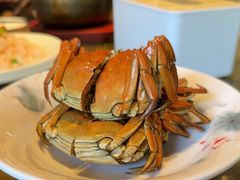 -扬州狮子楼·非遗淮扬菜(东关街店)