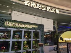 -芸山季·云南山珍菌火锅(南翔印象城MEGA店)