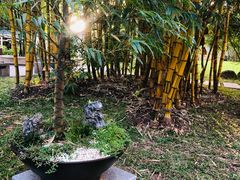 -晓港公园