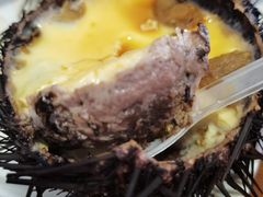 -海胆小馆(东北水饺·春柳店)