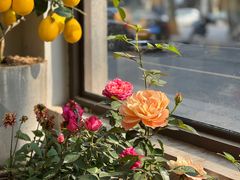 -思南书局·诗歌店